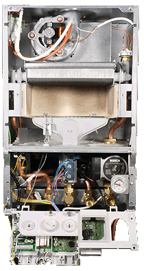 wc 24i junior bur showing.gif